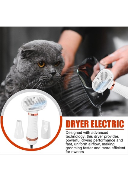 Pet Saç Kurutma Makinesi Kedi ve Köpek Fırçası Profesyonel Ev Tımarlama Kürklü Kurutma Taşınabilir Köpek Salon Blower Ab Fiş (Yurt Dışından) fiyatları