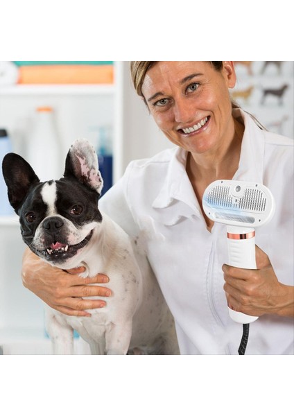 Pet Saç Kurutma Makinesi Kedi ve Köpek Fırçası Profesyonel Ev Tımarlama Kürklü Kurutma Taşınabilir Köpek Salon Blower Ab Fiş (Yurt Dışından) indirimleri