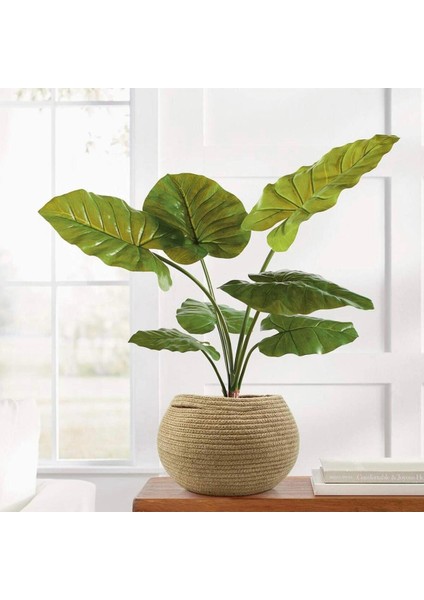 Jüt Hasır El Dokuma Bal Küpü Model Sepet Organizer fırsatları