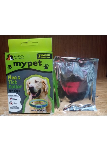 köpek PİRE TASMASI