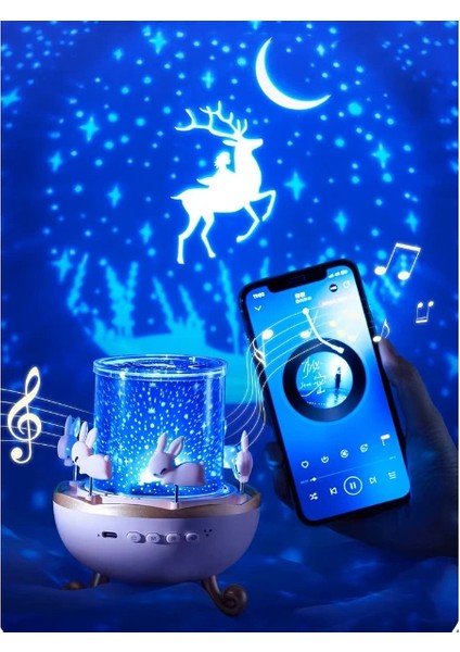 çınar ticaret tavşan atlıkarınca multifonksiyon projektör modelleri