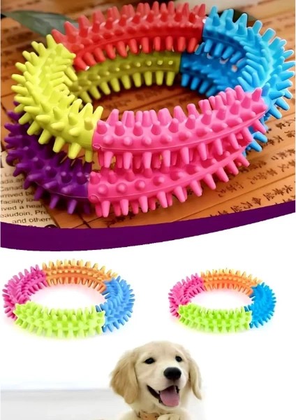 çınar ticaret köpek ısırma diş kaşıma çemberi