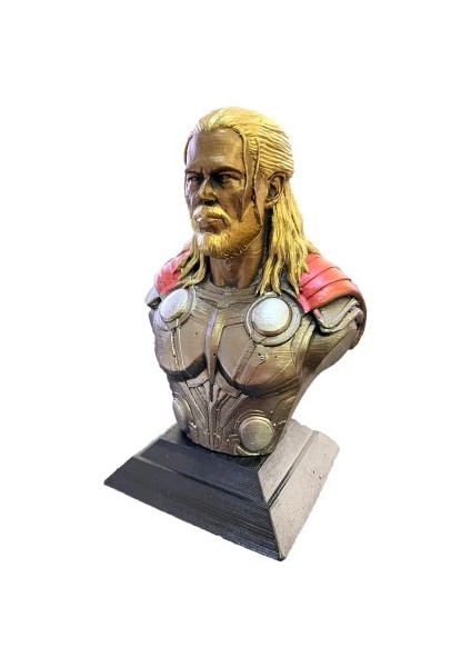 çınar ticaret thor büst