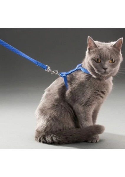 çınar ticaret kedi boyun ve göğüs tasması