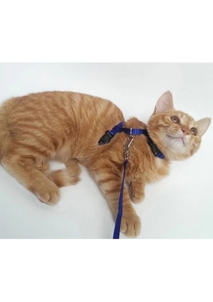 çınar ticaret kedi boyun ve göğüs tasması modelleri