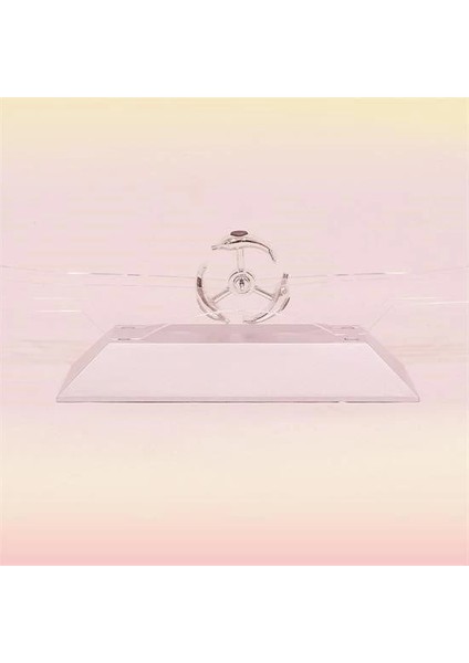 çınar ticaret dekoratif masa üstü obje manyetik kinetik orbital dönen yunuslar