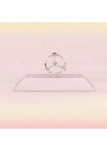 çınar ticaret dekoratif masa üstü obje manyetik kinetik orbital dönen yunuslar indirimleri