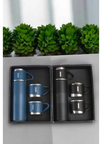 çınar ticaret 500 ml kapasiteli taşınabilir basınçlı termos seti günlük kullanım ıçin ıdeal fırsatları