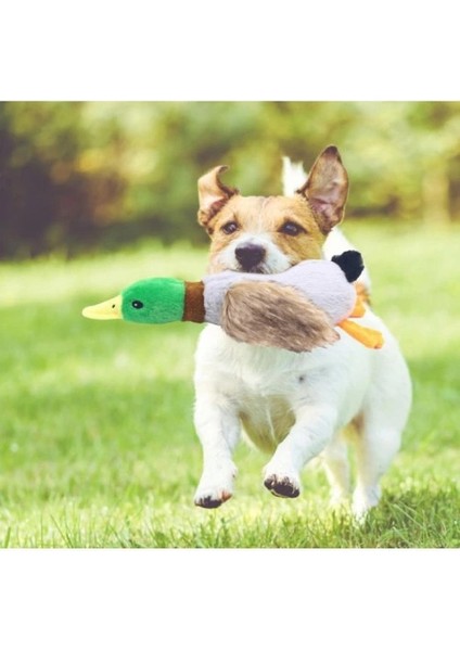 çınar ticaret sesli ördek şekilli peluş köpek oyuncağı