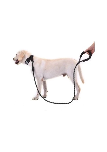 çınar ticaret reflektörlü köpek tasması 130 cm. fiyatları