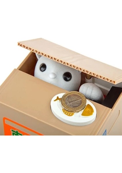 çınar ticaret para çalan hırsız kedi kumbara