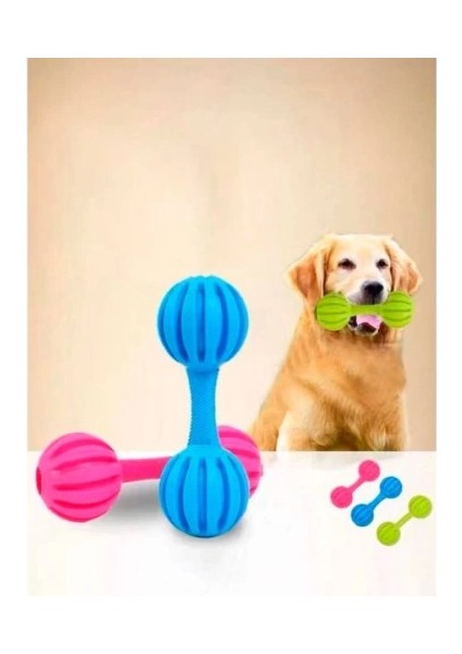 çınar ticaret çıngıraklı evcil hayvan oyuncağı