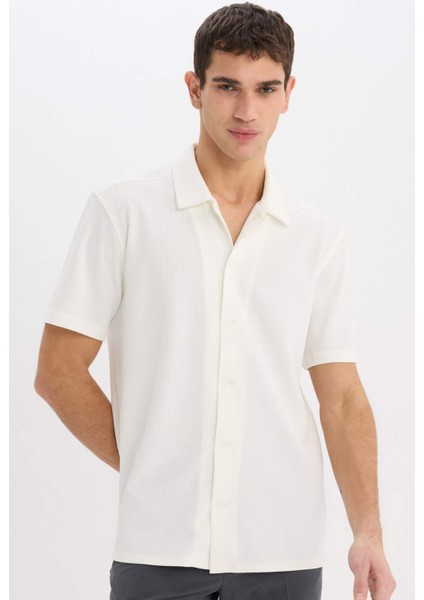 Regular Fit Polo Yaka Yazlık Kısa Kollu Gömlek