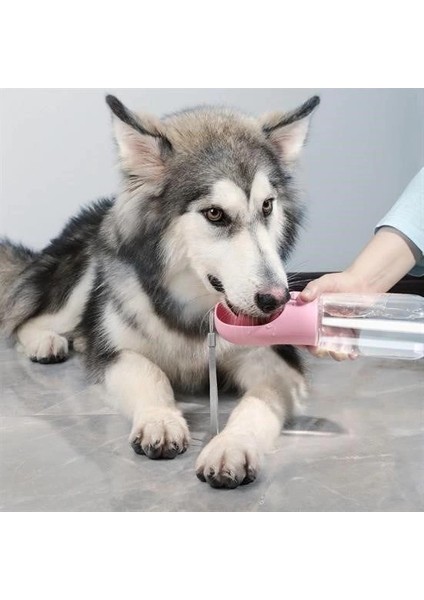 çınar ticaret taşınabilir evcil hayvan suluğu seyahat kabı kilitlenebilen su sızdırmaz kap 350 ml fiyatları