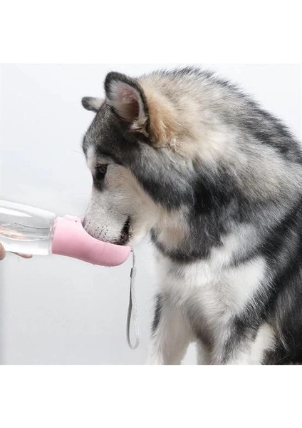 çınar ticaret taşınabilir evcil hayvan suluğu seyahat kabı kilitlenebilen su sızdırmaz kap 350 ml fırsatları