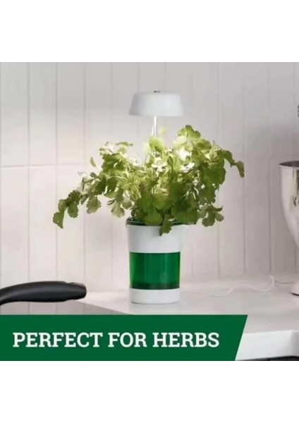 çınar ticaret hızlı bitki yetiştirme saksısı fırsatları