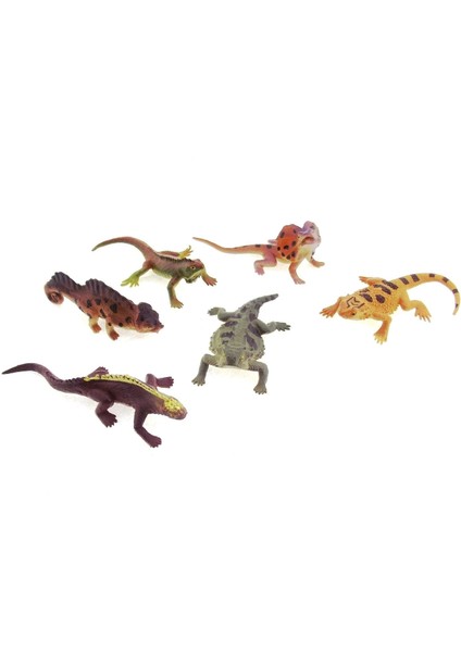 çınar ticaret model sürüngen hayvanlar fırsatları