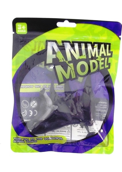 çınar ticaret model memeli deniz hayvanları fiyatları