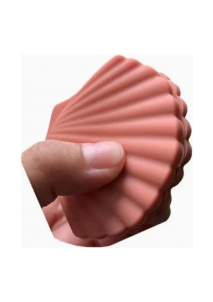 çınar ticaret deniz kabuğu şeklinde tutacak modelleri