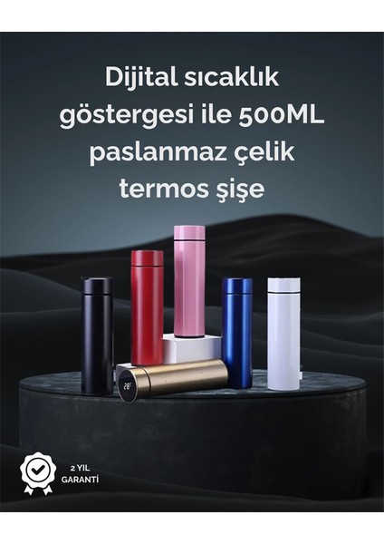 çınar ticaret led sıcaklık ölçerli 250 ml yalıtımlı termos şişe
