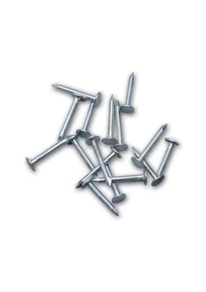 çınar ticaret oluklu ayakkabı çivisi 1 kg
