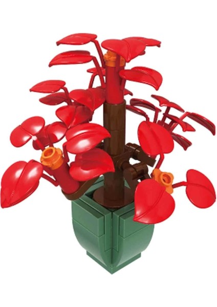 çınar ticaret blx bitki çiçekleri 8820