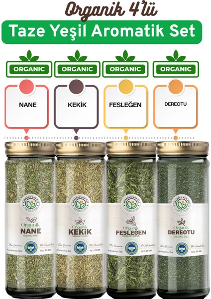 Organik Yeşil Aromatik Set (Nane – Kekik – Fesleğen – Dereotu)