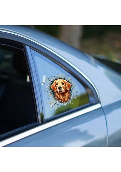 çınar ticaret fulcar golden araç stickerı