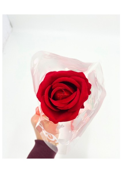 Tek Dal Kadife Kırmızı Gül – Şeffaf Ambalajlı Yapay Çiçek modelleri