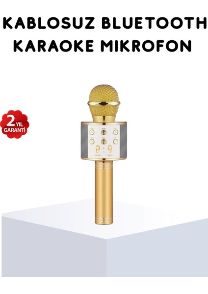 çınar ticaret karaoke mikrofonu bluetooth usb aux girişli yankı efektli