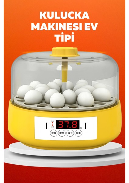 çınar ticaret ev tipi mini kuluçka makinesi – civciv çıkım makinesi otomatik