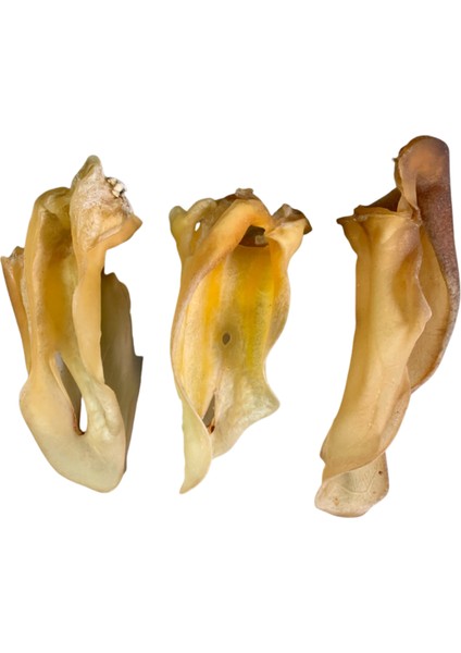 Kurutulmuş Dana Kulak Köpek Ödülü 2 Adet fiyatları