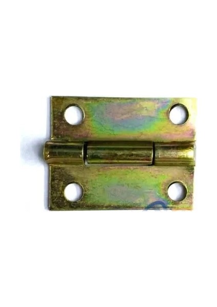 çınar ticaret tavla menteşesi eko 25x20 mm - 120 adet