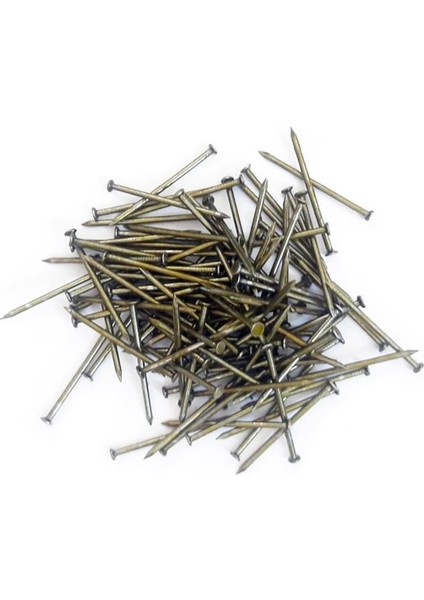 çınar ticaret çelik beton çivisi 2x40 mm (100 adet)