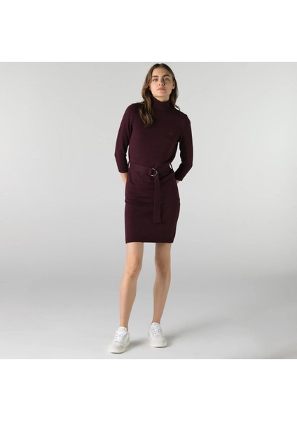 Kadın Regular Fit Uzun Kollu Boğazlı Yaka Kahverengi Elbise