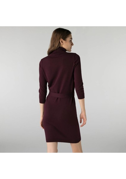 Kadın Regular Fit Uzun Kollu Boğazlı Yaka Kahverengi Elbise fiyatları