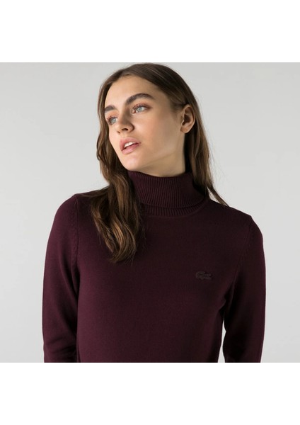 Kadın Regular Fit Uzun Kollu Boğazlı Yaka Kahverengi Elbise fırsatları