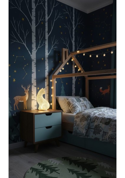 Kedi Lambası LED Aydınlatma fiyatları