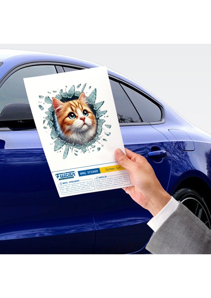 çınar ticaret fulcar sarman araç stickerı modelleri