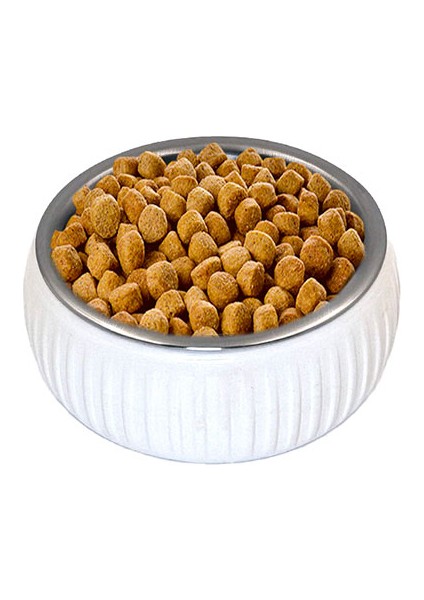 çınar ticaret mikopet organik seramik mama kabı beyaz