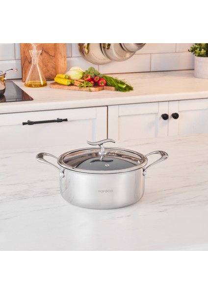 Plasma Steel 316+ 3ply Tencere 22 cm