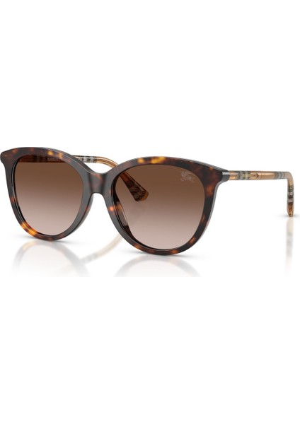Güneş Gözlüğü BE4455 55 421613