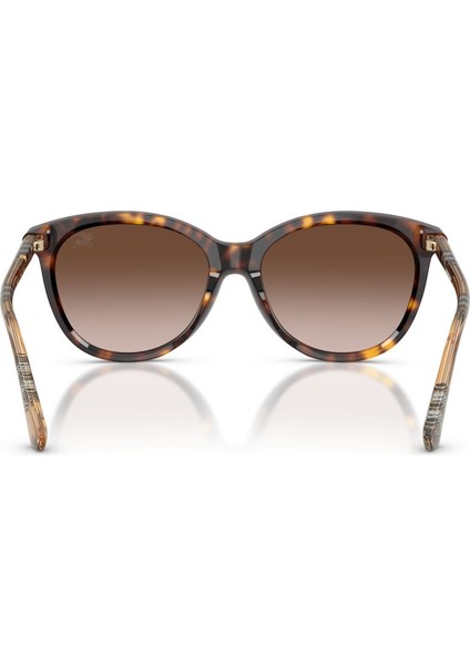 Güneş Gözlüğü BE4455 55 421613 fiyatları