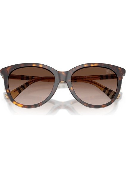 Güneş Gözlüğü BE4455 55 421613 modelleri