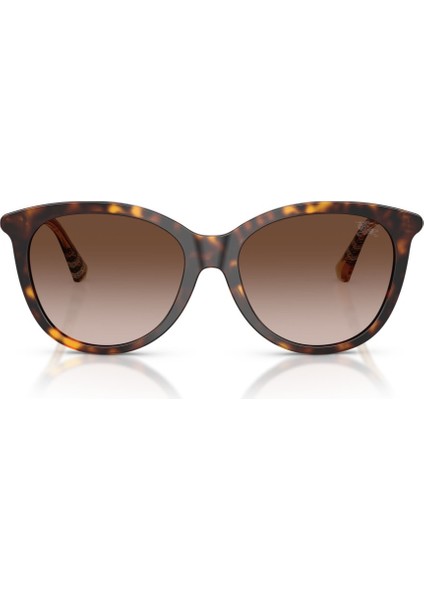 Güneş Gözlüğü BE4455 55 421613 fırsatları