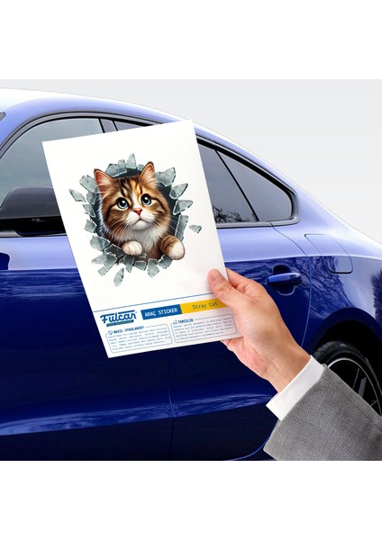 çınar ticaret fulcar stray araç stickerı fiyatları