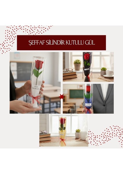 çınar ticaret şeffaf silindir kutulu gül - öğretmenler günü hediyesi