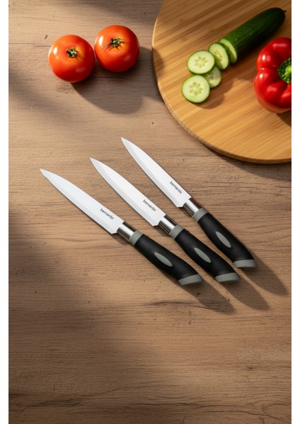 Maestro 10 Parça Bıçak Seti fiyatları