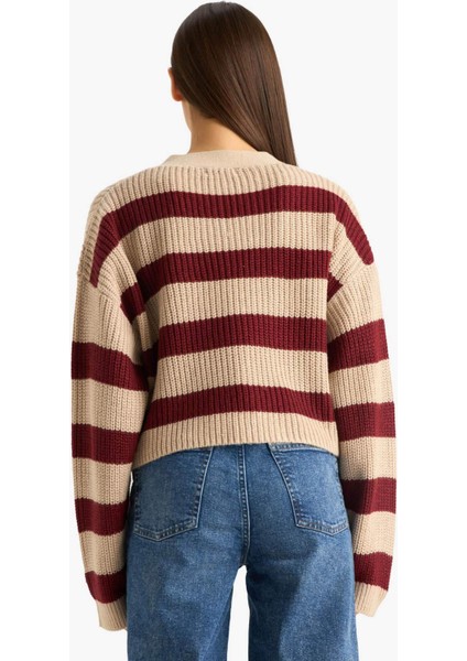 Regular Fit V Yaka Çizgili Düğmeli Triko Hırka Z8539AZ25WN