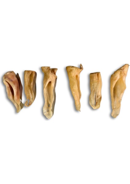 Kurutulmuş Kuzu Kulak Köpek Ödülü 100 gr fiyatları